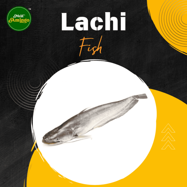 Lachi Fish Regular (1Kg)