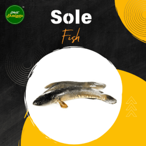 Sole Fish Regular (1Kg)
